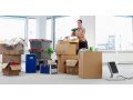 professional-movers-packers-jvt-dubai-0559972621-small-0